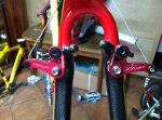 Copia de IMG-20120320-WA004.jpg