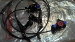 IMG_20120322_071002.jpg