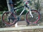2012-01-07 13.50.41bis.jpg