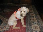 fotos_561.jpg
