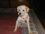 fotos_560.jpg