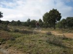 IMG_1167_redimensionar.jpg