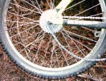 IMAGE0046.JPG