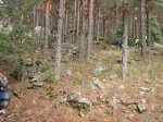 IMG_1188_redimensionar.jpg