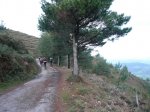 P1010380.jpg