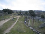 IMG_8585.JPG