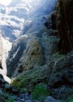 tenerife 25-4-2001.26.jpg