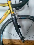 Orbea_Lobular1.JPG