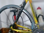 Orbea_Lobular2.JPG