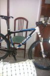 bici trillo.jpg