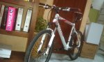 IMAG0243.jpg