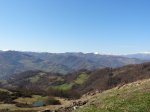 DSC00207.JPG