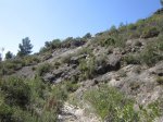 IMG_0109.JPG