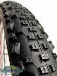rr_650b2_sm.jpg