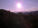 22032012209.jpg
