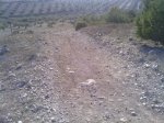 IMG_20120322_175323.jpg