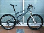 Ibis despues1w.JPG