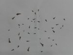 2012-03-23 19.25.31.jpg