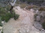 Foto1107 (Copiar).jpg