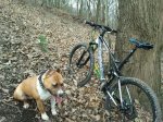 IMG-20120323-WA0013.jpg