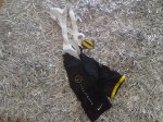 culote livestrong 3.jpg