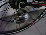 Dogma 2 (Small).JPG