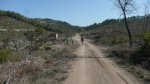 P1070410 - copia.JPG