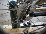 trek nov 3.JPG