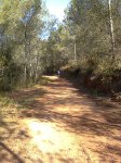 Imagen0921.jpg