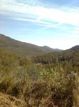 Imagen0934.jpg