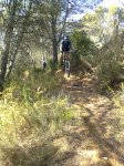 Imagen0940.jpg