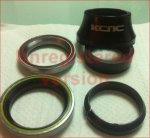 KCNC2.jpg