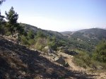 PATONES 24-3-12 11.jpg