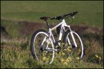 ktm29foro.jpg