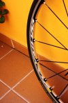 mavic delantera (5).JPG