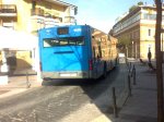 Foto0313.jpg