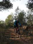 SAM_1078 (Copiar).JPG