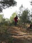 SAM_1083 (Copiar).JPG