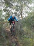 SAM_1086 (Copiar).JPG
