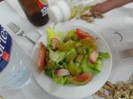 SAM_1100 (Copiar).JPG