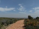 SAM_1143 (Copiar).JPG