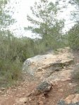 SAM_1148 (Copiar).JPG
