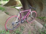 DSC00410.JPG