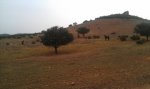 IMAG0268.jpg