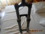 ultimas fotos 074.JPG