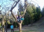 25032012778.jpg