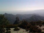 Foto1146 (Copiar).jpg
