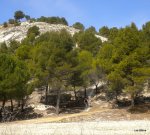 DSCN4178.JPG