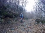 25032012_002 (800x600).jpg