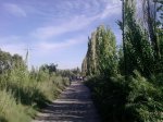 P250312_10.18.jpg